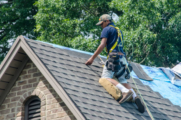 Best Roof Leak Repair  in Winfield, WV